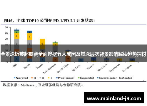 全景深析英超联赛全面停摆五大成因及其深层次背景影响解读趋势探讨