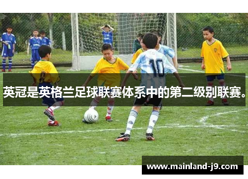 英冠是英格兰足球联赛体系中的第二级别联赛。