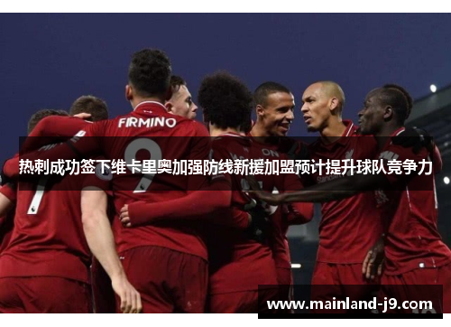 热刺成功签下维卡里奥加强防线新援加盟预计提升球队竞争力