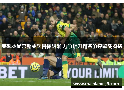 英超水晶宫新赛季目标明确 力争提升排名争夺欧战资格